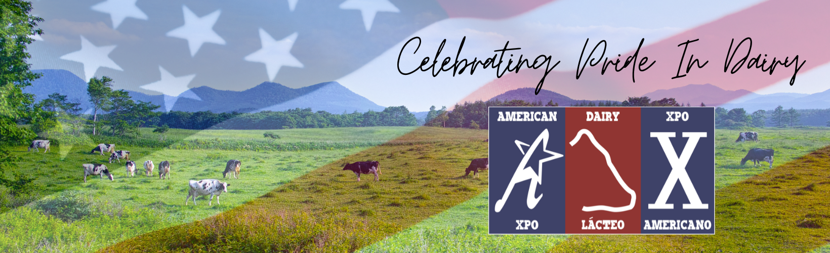 HOME PAGE 5 cheesefest website banner (3)