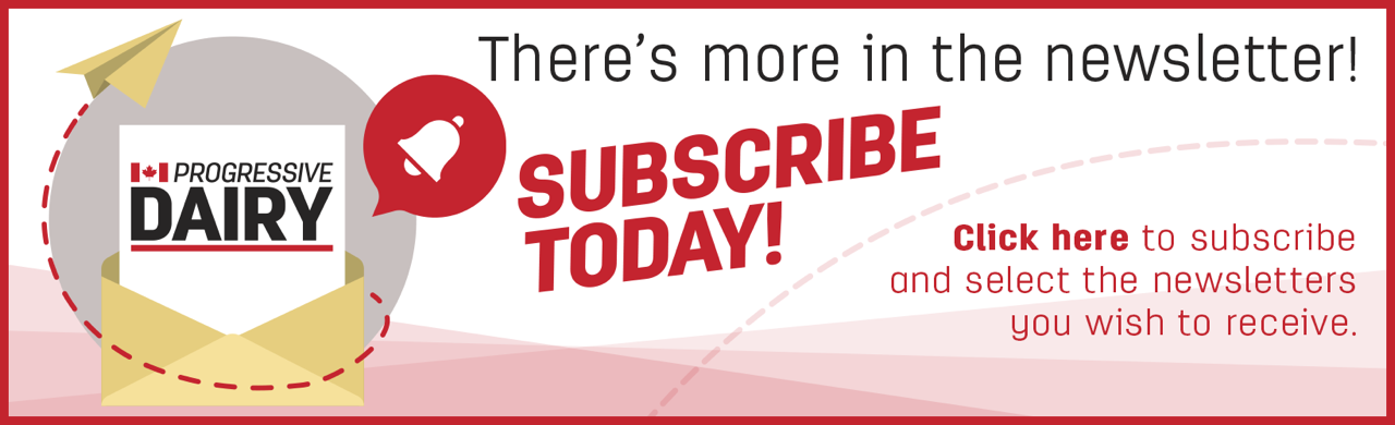 HOME PAGE 6 CDX-CA-newsletter-1640x500